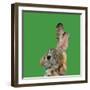 Abstract Polygonal Vector Illustration. Portrait of Rabbit-Jan Fidler-Framed Photographic Print