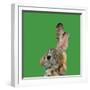 Abstract Polygonal Vector Illustration. Portrait of Rabbit-Jan Fidler-Framed Photographic Print