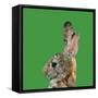 Abstract Polygonal Vector Illustration. Portrait of Rabbit-Jan Fidler-Framed Stretched Canvas