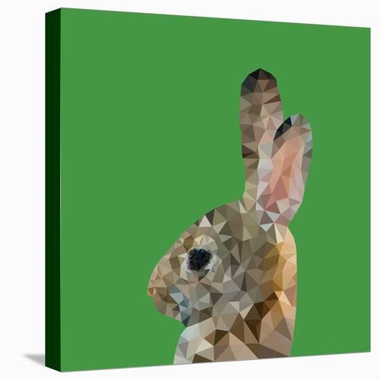 Abstract Polygonal Vector Illustration. Portrait of Rabbit-Jan Fidler-Stretched Canvas