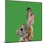 Abstract Polygonal Vector Illustration. Portrait of Rabbit-Jan Fidler-Mounted Premium Photographic Print