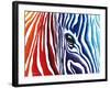 Abstract Pop Zebra-Megan Aroon Duncanson-Framed Art Print