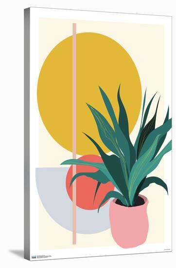 Abstract Potted Plant-Trends International-Stretched Canvas