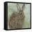 Abstract Rabbit 1-Mary Miller Veazie-Framed Stretched Canvas