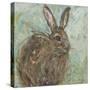 Abstract Rabbit 1-Mary Miller Veazie-Stretched Canvas