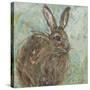 Abstract Rabbit 1-Mary Miller Veazie-Stretched Canvas