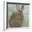 Abstract Rabbit 1-Mary Miller Veazie-Framed Giclee Print