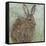 Abstract Rabbit 1-Mary Miller Veazie-Framed Stretched Canvas