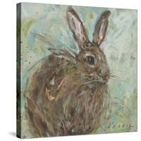 Abstract Rabbit 1-Mary Miller Veazie-Stretched Canvas