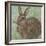 Abstract Rabbit 2-Mary Miller Veazie-Framed Giclee Print