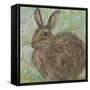 Abstract Rabbit 2-Mary Miller Veazie-Framed Stretched Canvas