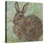 Abstract Rabbit 2-Mary Miller Veazie-Stretched Canvas