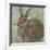 Abstract Rabbit 2-Mary Miller Veazie-Framed Giclee Print