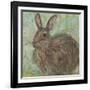 Abstract Rabbit 2-Mary Miller Veazie-Framed Giclee Print