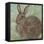 Abstract Rabbit 2-Mary Miller Veazie-Framed Stretched Canvas