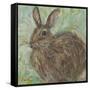 Abstract Rabbit 2-Mary Miller Veazie-Framed Stretched Canvas