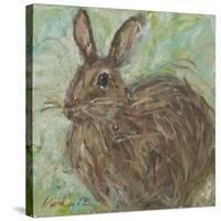 Abstract Rabbit 2-Mary Miller Veazie-Stretched Canvas