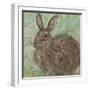 Abstract Rabbit 2-Mary Miller Veazie-Framed Giclee Print