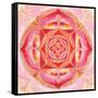 Abstract Red Painted Picture With Circle Pattern, Mandala Of Muladhara Chakra-shooarts-Framed Stretched Canvas