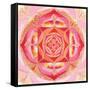 Abstract Red Painted Picture With Circle Pattern, Mandala Of Muladhara Chakra-shooarts-Framed Stretched Canvas