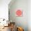 Abstract Red Painted Picture With Circle Pattern, Mandala Of Muladhara Chakra-shooarts-Stretched Canvas displayed on a wall