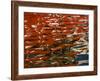 Abstract Reflection of Ship on Water, Helsinki, Finland-Nancy & Steve Ross-Framed Photographic Print