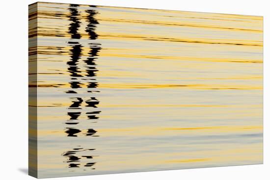 Abstract Reflections in San Diego Harbort, San Diego, California, USA-Jaynes Gallery-Stretched Canvas