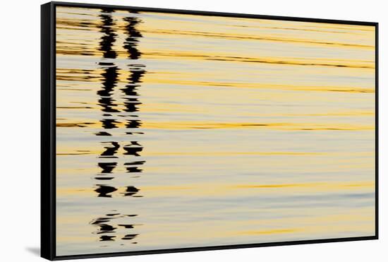 Abstract Reflections in San Diego Harbort, San Diego, California, USA-Jaynes Gallery-Framed Stretched Canvas