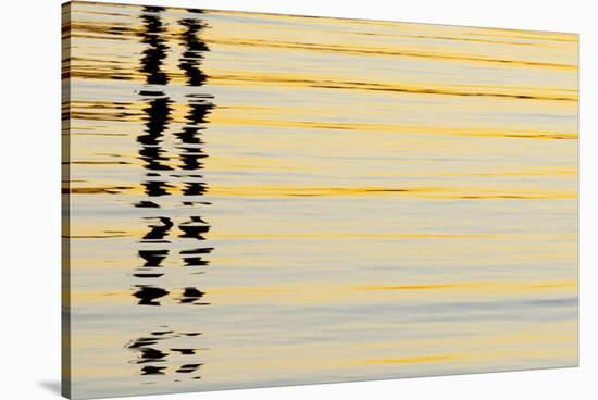 Abstract Reflections in San Diego Harbort, San Diego, California, USA-Jaynes Gallery-Stretched Canvas