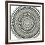 Abstract Rosette III-Chariklia Zarris-Framed Art Print