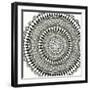 Abstract Rosette III-Chariklia Zarris-Framed Art Print