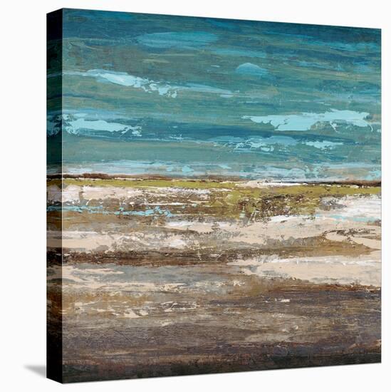 Abstract Sea 1-Dennis Dascher-Stretched Canvas