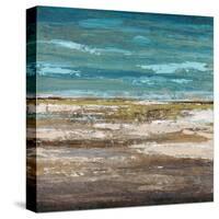 Abstract Sea 1-Dennis Dascher-Stretched Canvas