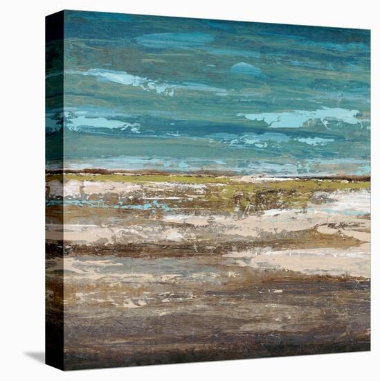 Abstract Sea 1-Dennis Dascher-Stretched Canvas