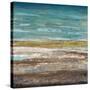 Abstract Sea 2-Dennis Dascher-Stretched Canvas