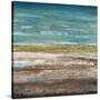 Abstract Sea 2-Dennis Dascher-Stretched Canvas