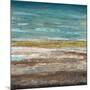 Abstract Sea 2-Dennis Dascher-Mounted Art Print