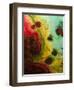 Abstract Series No. 13 I-Marabeth Quin-Framed Art Print