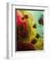 Abstract Series No. 13 I-Marabeth Quin-Framed Art Print