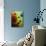 Abstract Series No. 13 I-Marabeth Quin-Mounted Art Print displayed on a wall