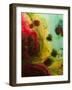 Abstract Series No. 13 I-Marabeth Quin-Framed Art Print