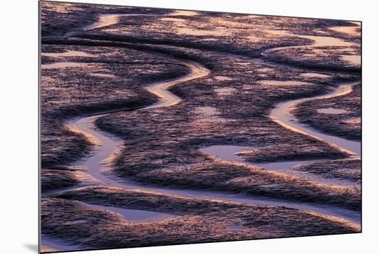 Abstract Shapes at Sunset During Low Tide on Martha's Beach-Jay Goodrich-Mounted Photographic Print