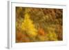 Abstract Shot At Dawn Over A Mixed Woodland In Autumn-Fergus Gill-Framed Photographic Print