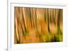 Abstract Shot of Autumnal Woodland in Grasmere, Lake District Cumbria England Uk-Tracey Whitefoot-Framed Photographic Print