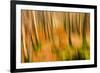 Abstract Shot of Autumnal Woodland in Grasmere, Lake District Cumbria England Uk-Tracey Whitefoot-Framed Photographic Print