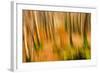 Abstract Shot of Autumnal Woodland in Grasmere, Lake District Cumbria England Uk-Tracey Whitefoot-Framed Photographic Print