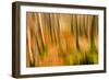 Abstract Shot of Autumnal Woodland in Grasmere, Lake District Cumbria England Uk-Tracey Whitefoot-Framed Photographic Print