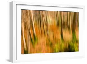 Abstract Shot of Autumnal Woodland in Grasmere, Lake District Cumbria England Uk-Tracey Whitefoot-Framed Photographic Print