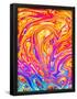 Essential Black