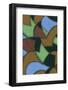 Abstract Stained Glass Pattern-Found Image Holdings Inc-Framed Photographic Print